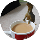 Tony the Dinosaur profile picture